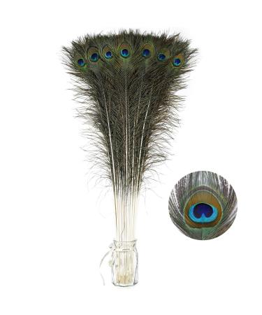 Soarer Long Peacock Feathers Bulk- 25pcs 32-35 inches Feathers for Vase  Holiday Decoration and DIY Crafts