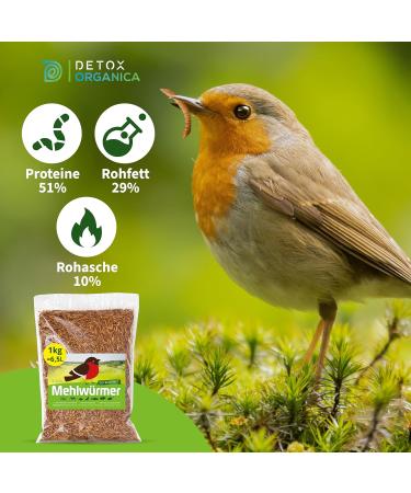 Premium 1kg Dried Mealworms - High Protein Flourworms for Reptiles Birds Fish & More | International Shipping Available - Buy Online on SooperMarket.com