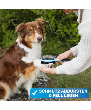 Bluepet Double-Decker 2-in-1 Dog Brush for Long & Short Hair - Perfect for Puppies & Cats - Ultimate Fur Care Tool - Buy Online on SooperMarket.com