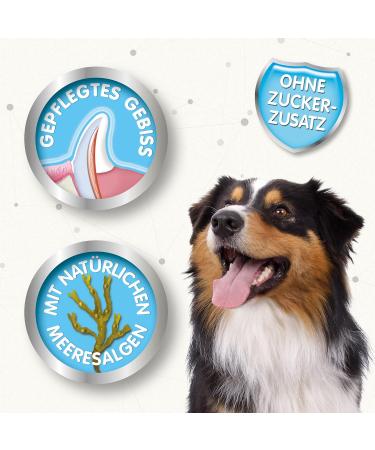 Beaphar Dental Sticks for Small Dogs - Natural Sea Algae Dental Care Snack 7 Pieces 112g - Sugar-Free Treats for Healthy Teeth - Buy Online on SooperMarket.com
