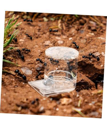 CORHAD Ants Waterer Pet Water Feeder Ant Nest Supplies Ant Cups Water for Ant Garden Ant Water Feeders Beehive Animal - Buy Online on SooperMarket.com
