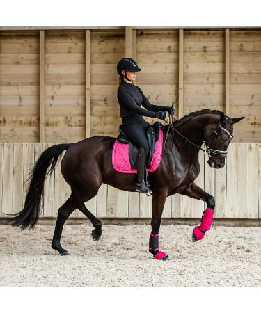 HORZE Grayson Classic Leather Ergonomic Snaffle Dressage Bridle - Black/White Horse - Buy Online on SooperMarket.com