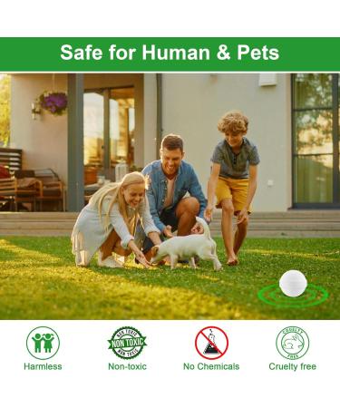 12 Pack Natural Peppermint Oil Rodent Repellent Balls - Safe Pest Control for Mice, Rats, Roaches, Moles, Squirrels, Ants, Moths - Indoor & Outdoor Use - Pet & Kid Safe - Buy Online on SooperMarket.com