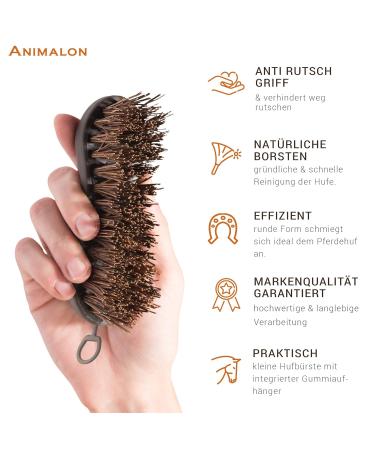 Animalon Hoof Brush for Horses | Premium Hard Natural Bristles | Essential Hoof Care Tool | Durable Small Root Brush for Cleaning & Grooming - Buy Online on SooperMarket.com