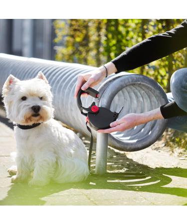 Dogxi 5m Retractable Dog Leash for Small & Medium Dogs - Adjustable Black Belt with Carabiner Perfect for Car Use - 25kg Capacity - Buy Online on SooperMarket.com