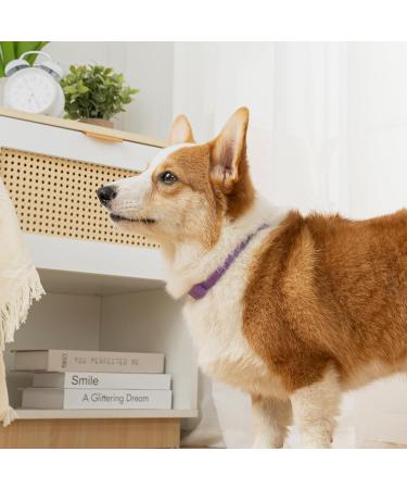 Dog Repellent Treatment Dog Repellent Collars Adjustable Small-Medium-Large Dog Repellent Collar Natural Repellent Collar for Dogs Waterproof Reflective Dog Repellent (Single Pack Purple) Single Pack Dog Purple - Buy Online on SooperMarket.com