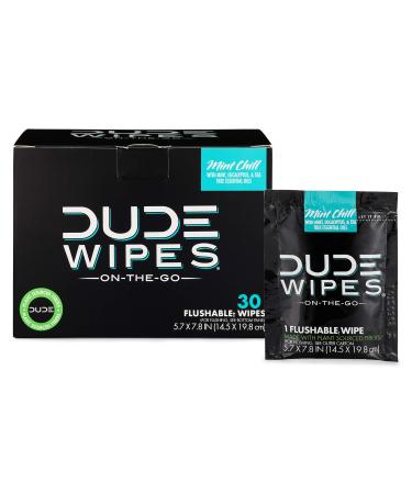 DUDE Wipes On-The-Go Flushable Wet Wipes - 1 Pack, 30 Wipes - Mint Chill Extra-Large Individually Wrapped Wipes with Eucalyptus & Tea Tree Oil - Septic and Sewer Safe