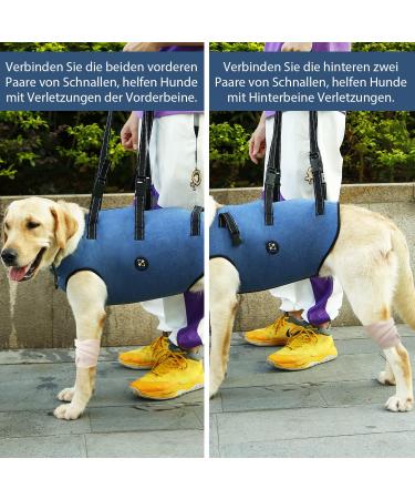COODEO Dog Harness - Adjustable Lifting Belt for Pets | Support & Rehabilitation for Old & Disabled Dogs - Padded Breathable Straps - XS Blue - Buy Online on SooperMarket.com