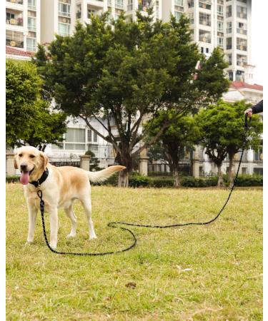 Joytale Padded Handle Training Lead for Dogs - 10m Long Line for Training & Tie Out - Supports Dogs Under 45kg - Black - Buy Online on SooperMarket.com