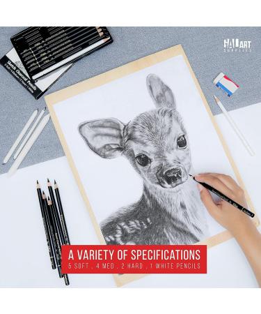 Galart Supplies Charcoal Drawing Set - 12 Piece Pre-Sharpened Pencils for Artists and Beginners | Soft, Medium, Hard, and White Charcoal Pencils for Drawing, Shading, and Sketching with Organizer Tray - Buy Online on SooperMarket.com