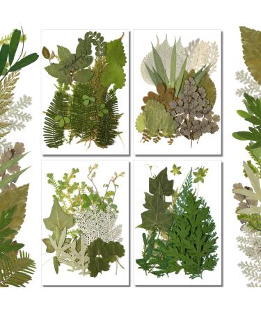 TimTin 84 Pieces Dried Pressed Leaves Dried Flowers Resin Dried Leaves Resin Mini Dried Flowers Crafts Dried Greenery Assorted Dried Leaves Art DIY Handmade Bookmarks 4 Bags (Vivid Style)