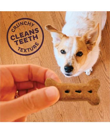 Old Mother Hubbard P-Nuttier Peanut Butter Dog Treats - All Natural, Crunchy, Healthy Snacks for Small Dogs - Buy Online on SooperMarket.com