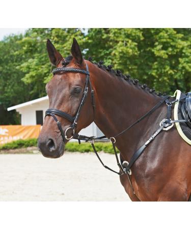 Breastplate SOLIBEL black fitting: stainless steel 1 piece (1 pack)