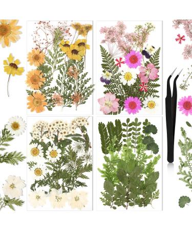 Nuanchu Pressed Flowers Resin Flowers for Resin Mold  Real Daisy Dried Flower Leaves Natural with Tweezers for Scrapbooking DIY Candle Accessories Jewelry Crafts Making (Fresh Style) Multi Color