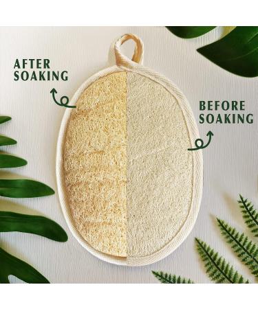 Natural Luffa Body Cloths - Eco-Friendly Biodegradable Shower Scrubs (4 Pack) for Men & Women - Buy Online on SooperMarket.com