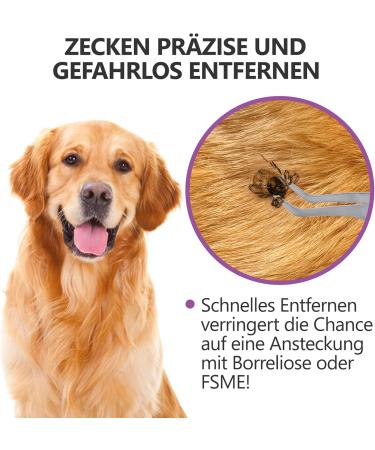 Helperfect 2in1 Stainless Steel Tick Pliers for Dogs & Cats - Gentle & Effective Tick Remover - Premium Tick Tweezers & Hooks for Pet Owners - Violet - Buy Online on SooperMarket.com