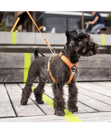 DOG Copenhagen Comfort Walk Air Harness - Size L, Black | Breathable and Durable - Buy Online on SooperMarket.com