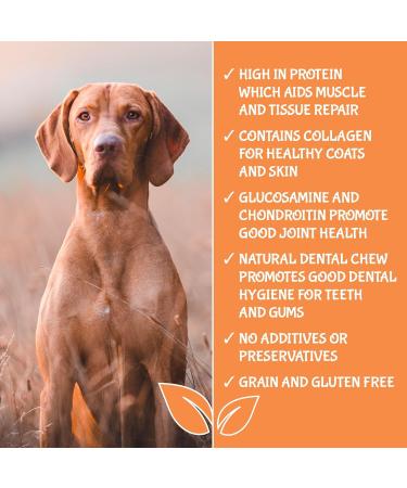 Pigs Ears Strips For Dogs Delicious Tasting Air Dried 500g - High in Protein Aids Muscle and Tissue Repair Contains Collagen for Healthy Coats and Skin. - Buy Online on SooperMarket.com