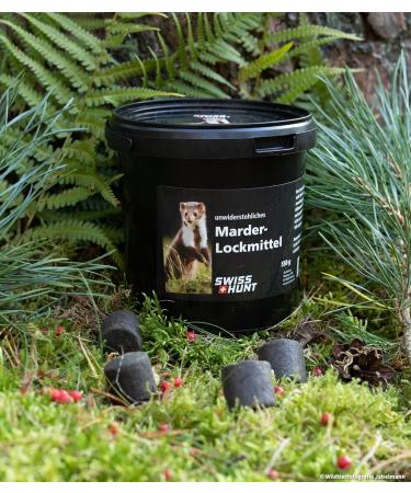 Swiss Hunt Marten Attractant Pellets | Premium Trapping Products from Switzerland - International Shipping Available - Buy Online on SooperMarket.com