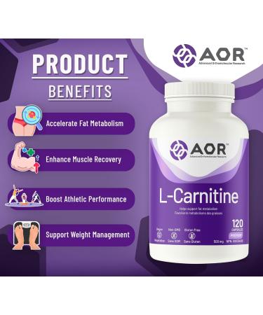 AOR - L-Carnitine 500mg 120 Capsules Pure L-Carnitine Tartrate Supports Energy Metabolism Muscle Recovery & Athletic Performance Promotes Fitness Goals L-Carnitine Capsules for Active Lifestyle - Buy Online on SooperMarket.com
