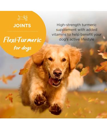 Flexi-Turmeric For Dogs | Healthspan | 120 Tablets | Vitamin C & Brewers Yeast | 400mg High-Grade Turmeric | Pet Health - Buy Online on SooperMarket.com