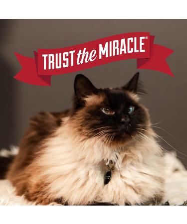 Nature's Miracle Intense Defense Clumping Litter 40 LBS Grey - Buy Online on SooperMarket.com