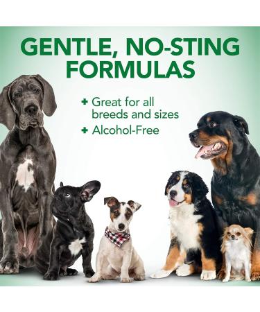Vets Best Allergy Relief for Dogs - 250ml Spray | Fast-Acting Relief for Itchy Skin & Seasonal Allergies | Shop Internationally - Buy Online on SooperMarket.com