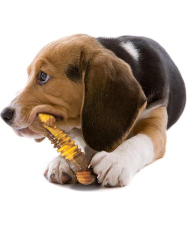 Nylabone Chew Toy for Extreme Chewers - Beef & Cheese Flavor Textured Bone | International Shipping Available - Buy Online on SooperMarket.com