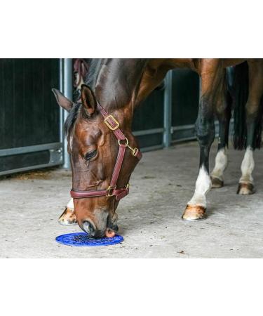 Likit Graze Paste Horse Lick Paste | Use with Likit Graze Maze horse lick mat | Tasty horse treat your horse will love | 1.2kg - Buy Online on SooperMarket.com