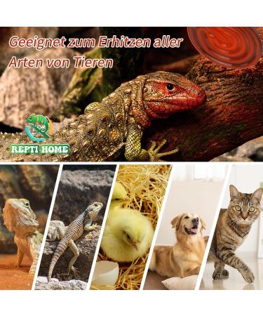 Repti Home 50W Ceramic Heat Radiator (2-Pack) | Optimal Heating for Reptiles Amphibians Pets & Livestock - Buy Online on SooperMarket.com