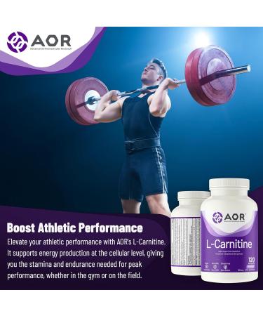 AOR - L-Carnitine 500mg 120 Capsules Pure L-Carnitine Tartrate Supports Energy Metabolism Muscle Recovery & Athletic Performance Promotes Fitness Goals L-Carnitine Capsules for Active Lifestyle - Buy Online on SooperMarket.com