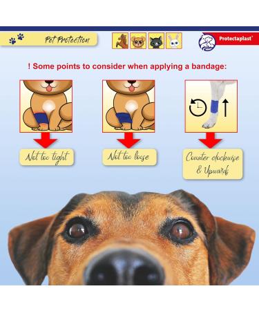 Protectaplast Self-Adhesive Blue Bandage for Pets (7.5cm x 4.5m) - Latex-Free Glue-Free Dressing for Dogs Cats & Horses | Ideal for Wounds & Joints - Buy Online on SooperMarket.com