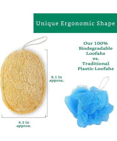 4 Pack 100% Natural Loofah Exfoliating Sponges - Organic Bath Scrubber Set - Buy Online on SooperMarket.com