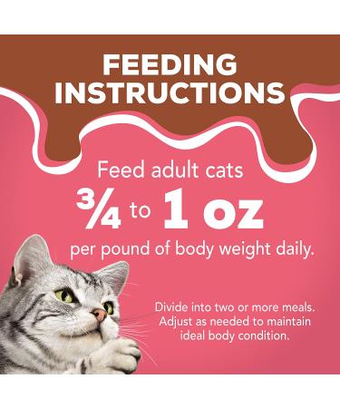 Purina Friskies Extra Gravy Salmon Pate Wet Cat Food 5.5 oz. Cans (Pack of 24) - Buy Online on SooperMarket.com