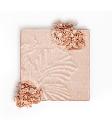 Wet n Wild Mega Glo Highlighter Makeup Powder Set - Blossom Glow, Golden Flower Crown, Precious Petals + Pro Line Tapered Blending Brush - Buy Online on SooperMarket.com