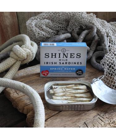 Shines Tinned Irish Sardines in Olive Oil Tomato Sauce and Spring Water - Pilchards - 3x 106g Cans - Buy Online on SooperMarket.com