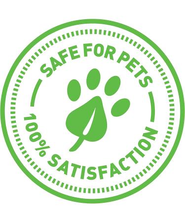 Organic Catnip for Cats & Kittens - 1oz Resealable Pouch by SmartyKat - Buy Online on SooperMarket.com