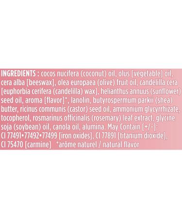 Burt's Bees Tinted Lip Balm Hibiscus - 0.15 Ounce (2 Count) | Natural Moisturizing Lip Care | International Shipping Available - Buy Online on SooperMarket.com