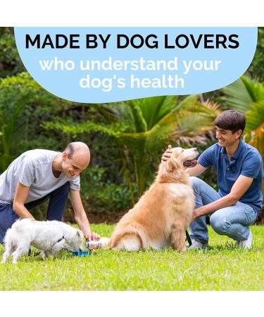 Wolf Spring All-Natural Dog Food Booster for Senior Dogs - Vitamins, Skin & Coat Support, Joint Health - Digestive Health Multivitamin with Glucosamine - Plant-Based Additive - 10oz (Pack of 12) - Buy Online on SooperMarket.com