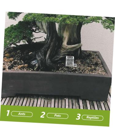 Mipcase 3pcs Pet Water Feeder Mini Liquid Feeder Insect Feeder Ants Nest Water Feeding Area Plastic 1 count (Pack of 1) - Buy Online on SooperMarket.com