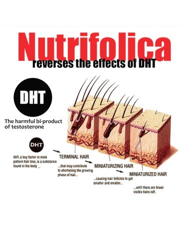 Nutrifolica Hair Loss Volumizing Conditioner 2 Month Supply | International Shipping Available - Buy Online on SooperMarket.com