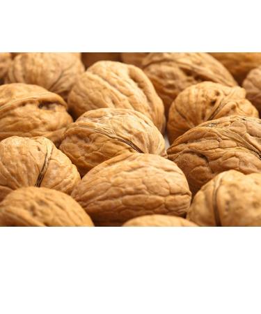 Buy 100% Natural Walnuts 5kg - Chile 34-36mm | Vegan Gluten-Free No Additives | New Harvest 2022 - Buy Online on SooperMarket.com