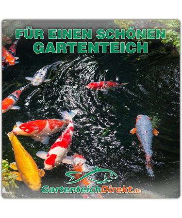 Gartenteich-Direkt Thread Algae Stop Liquid for Garden Pond - 5L | Fast & Reliable Algae Remover - Buy Online on SooperMarket.com