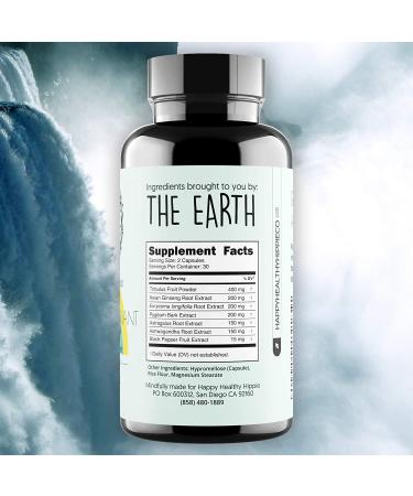 Happy Healthy Hippie Positively Pregnant for Dads - Premium Male Fertility Aid with Tribulus Terrestris, Ginseng, and Ashwagandha Extract - 60 Capsules - Buy Online on SooperMarket.com