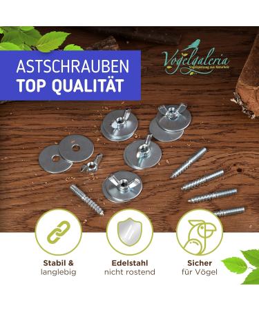 Buy Pack of 5 Stainless Steel Branch Screws for DIY Bird Toys & Perches | Secure Cage Fastening - Buy Online on SooperMarket.com