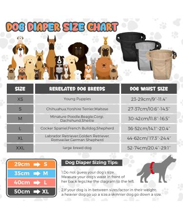3 Pack Dog Diapers - Adjustable Protective Trousers for Heat & Monthly Bleeding | Washable Dog Pants - Buy Online on SooperMarket.com