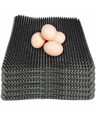 Hamiledyi Chicken Nesting Pads, Hen Nest Mats Washable, Chicken Nesting Box Plastic Liners, Reusable Egg Laying Mats for Chicken Coop Poultry Nest Boxes Ducks Nesting Pads 6PCS