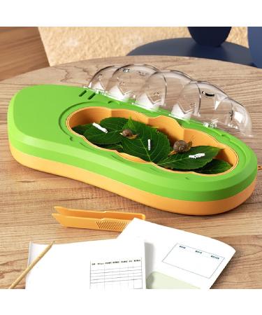 Observation Box Baby Silkworm Shape Silkworm Rearing Bucket Mesh Hole Design Multifunctional Educational for Reptiles (Green) - Buy Online on SooperMarket.com