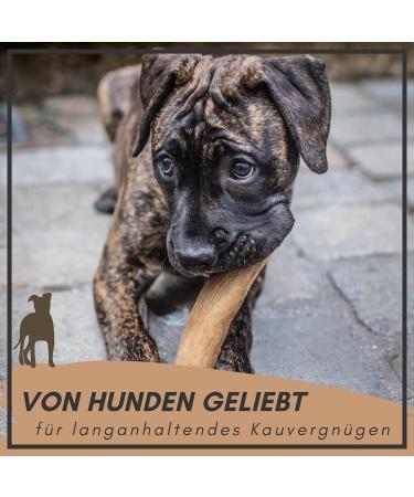 Supravit Natural Coffee Wood Chewing Bones for XS Puppies | Long-Lasting Play & Excitement | Caustab Puppy Chew Toys - Buy Online on SooperMarket.com