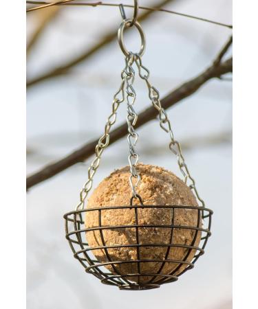 Premium Bird Dumplings - 90 Mealworm Dumplings in Reusable Buckets | High-Energy Food for Wild Birds - 8.1 kg Quality - Buy Online on SooperMarket.com
